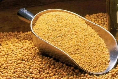 Soybean Meal  25