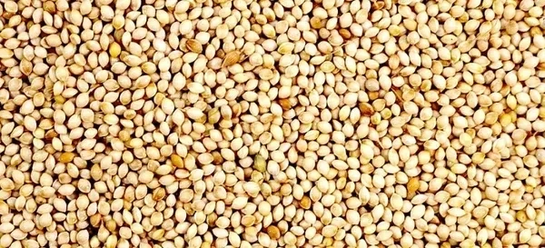 White French Millet  20 kg