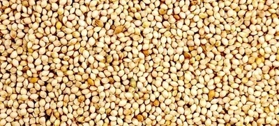 White French Millet  20 kg