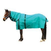 Eureka Lined Canvas Winter Combo Horse Rug - 4'3" to 6'9"