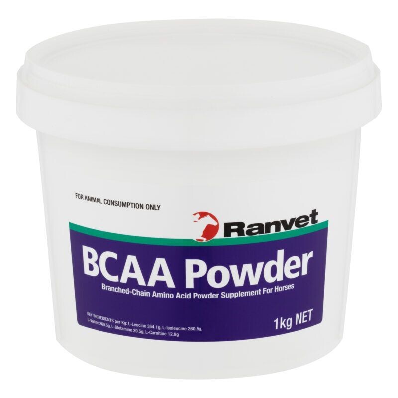 Ranvet BCAA Powder  -  1 kg