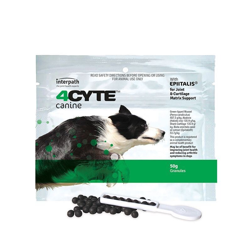 4 Cyte Canine Sachet   50 grams or 100 grams