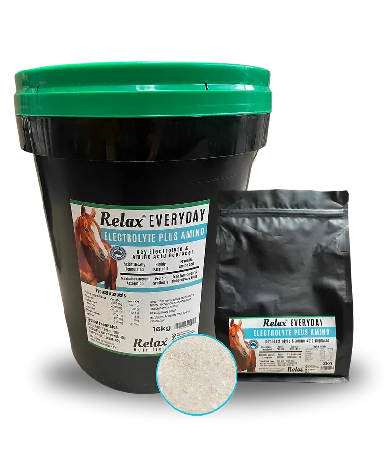Relax Everyday Electrolyte + Amino  2 kg , 5 kg or 16 kg