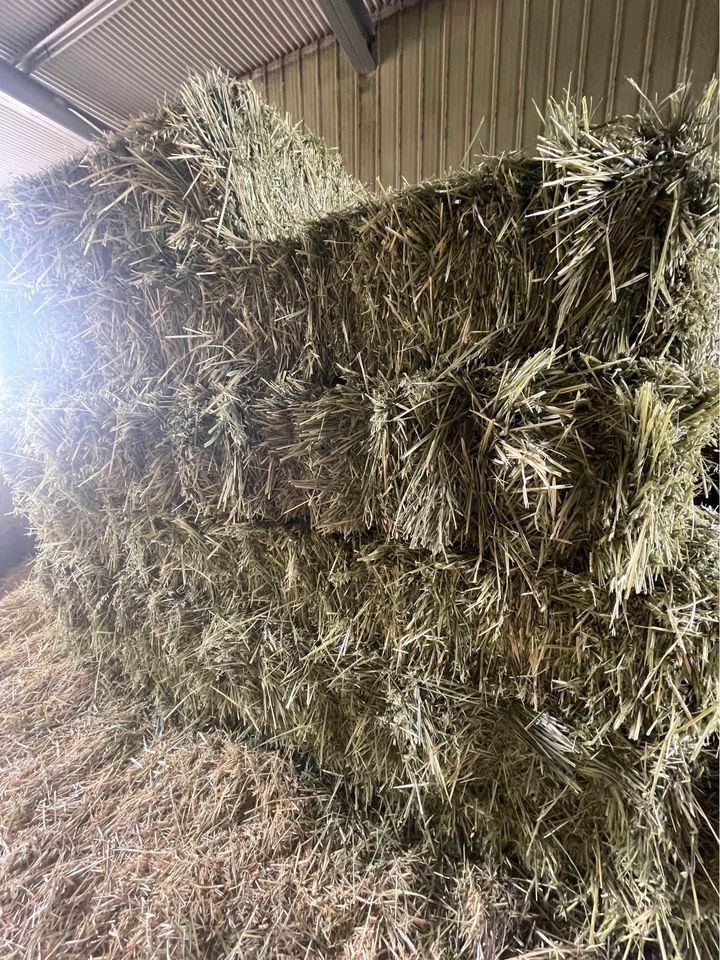Oaten Hay