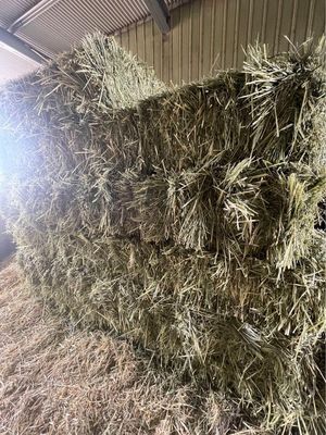 Oaten Hay