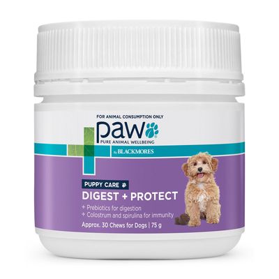 PAW by Blackmore Digest Protect Puppy Care  - 75 grams