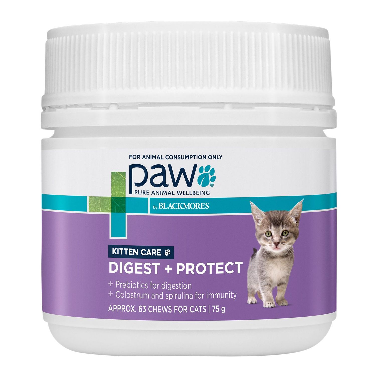 PAW by Blackmore Digest Protect Kitten Care 75 grams