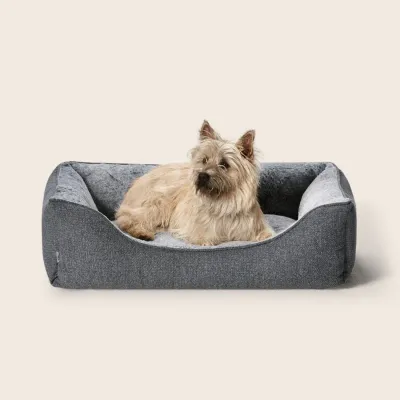 Snooza Low Front Lounger Grey  -  Small/Medium or Medium /Large