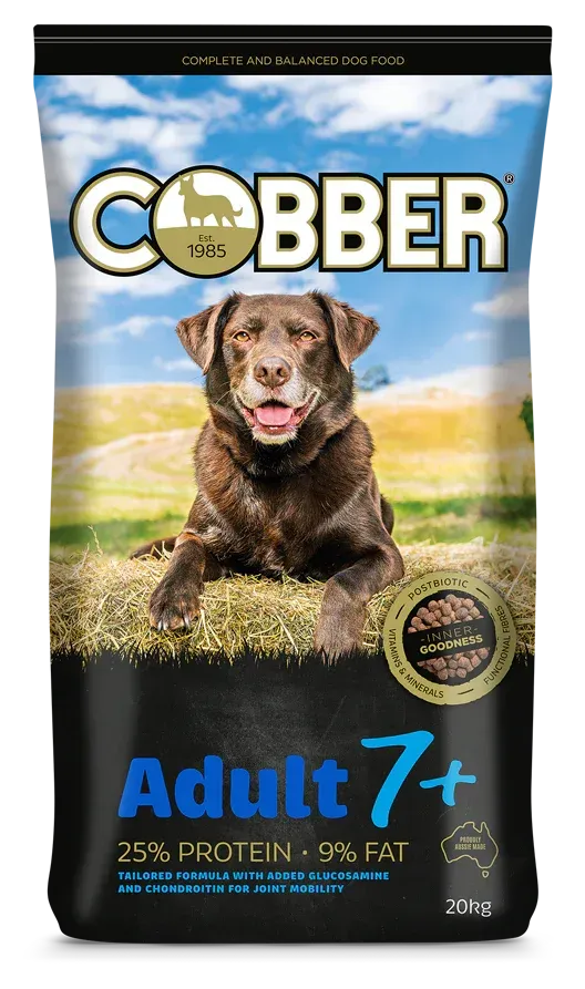 Cobber Senior Dog   20 kg