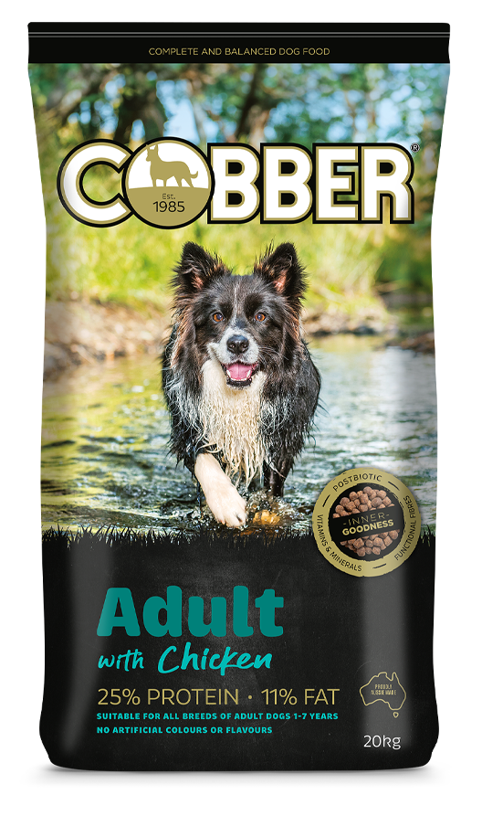 Cobber Adult Dog Chicken  -  20 kg
