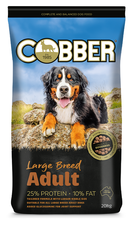Cobber Adult Large Breed  -  20 kg
