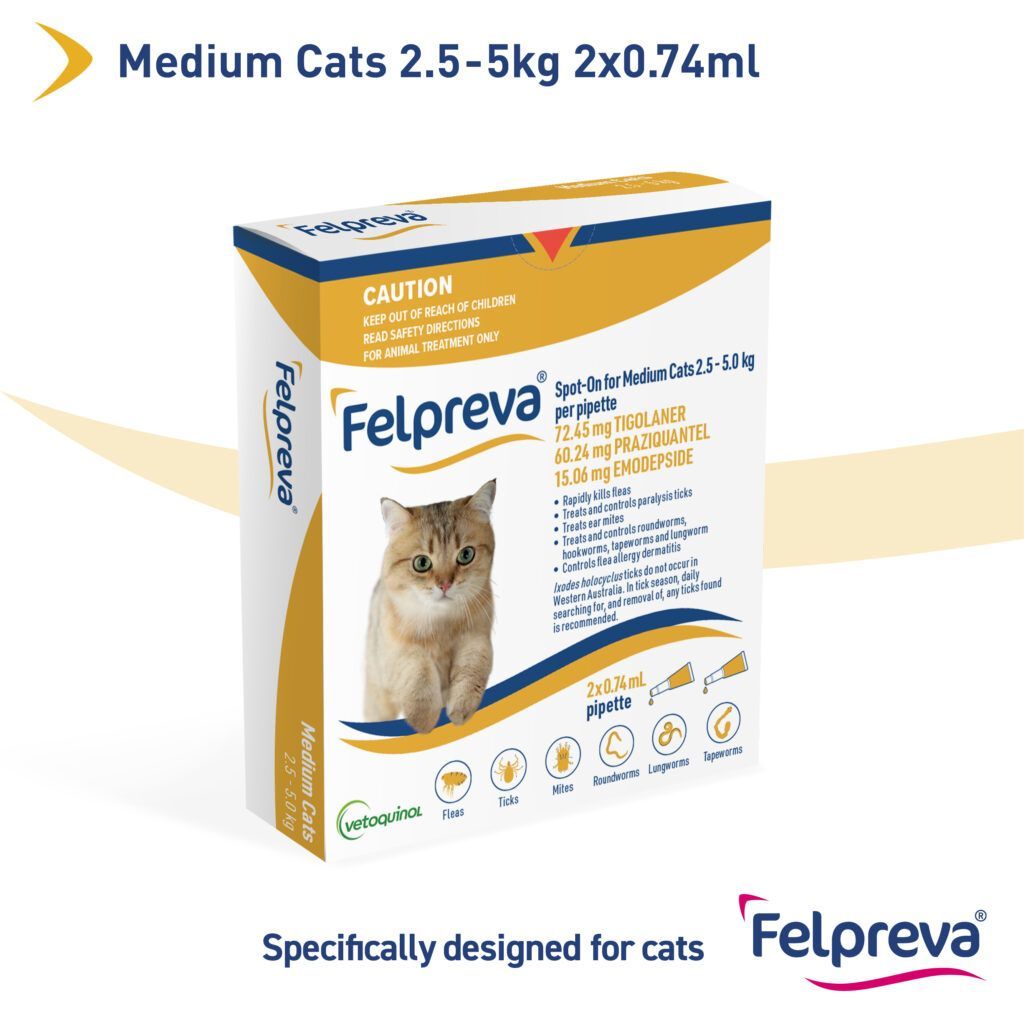 Felpreva Spot-on Cat 2.5 - 5 kg  -  1 pack or 2 pack