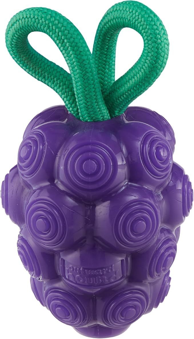 Nina Ottosson Dental Grapes  -  Purple
