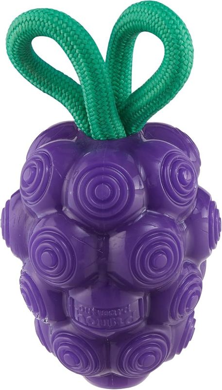 Nina Ottosson Dental Grapes  -  Purple