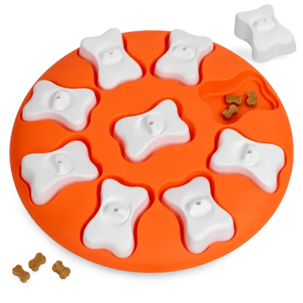 Nina Ottosson Dog Smart Puzzle