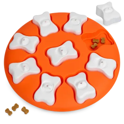 Nina Ottosson Dog Smart Puzzle