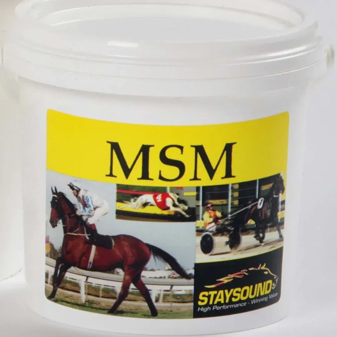 Staysound MSM  -  1 kg