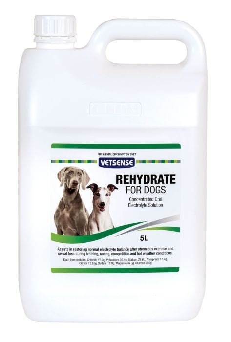 Vetsense Rehydrate for Greyhounds  -  5 litre