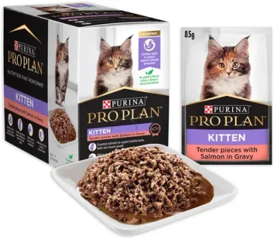 Pro Plan Kitten Salmon Jelly Wet Cat Food Pouches  -  85 grams x 12