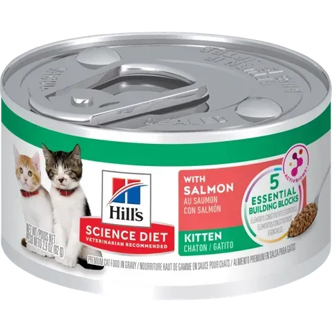 Science Diet Kitten Savory Salmon Entrée Canned Cat Food - 24 x 82 grams