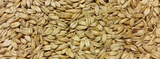 D & G Steamed Rolled Oats  -  25 kg