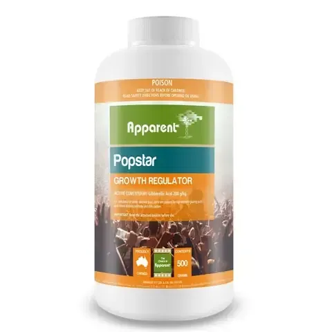 Apparent Popstar 200  -   500 grams