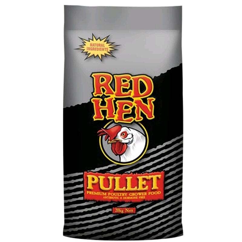 Red Hen Pullet Grower – Complete Grower Feed for Young Chickens  Balanced Nutrition for Healthy Development Before Egg Production  -  20 kg