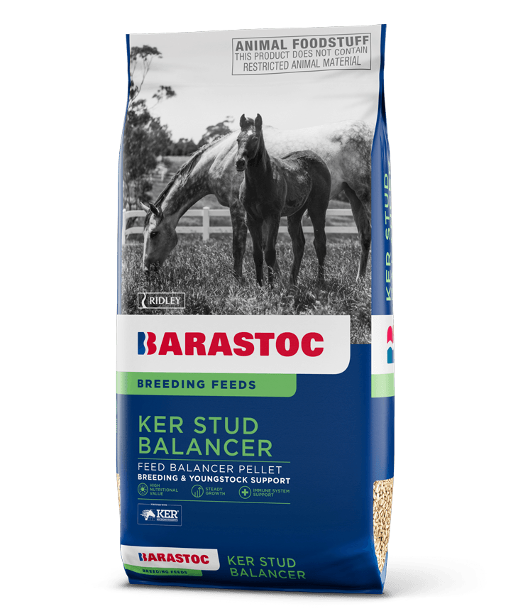 Barastoc KER Stud Balancer Premium Stud Horse Feed Balancer  -  20 kg