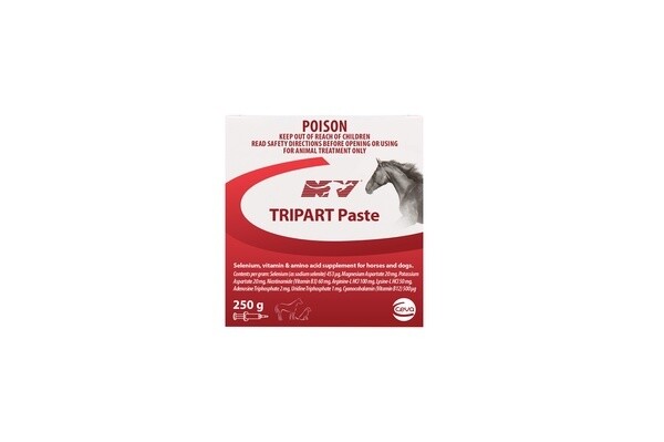 Nature Vet Tripart Paste - Muscle Recovery, Energy & Tying-Up Support for Horses & Dogs  -  250 grams