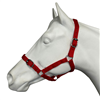 Eureka Essential Halter  - Cob