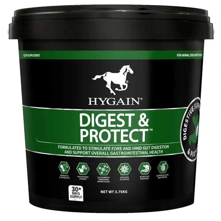Hygain Digest & Protect for Horses – Gut Health, Ulcer Support & Digestive Supplement - 18 kg Hygain Digest & Protect for Horses – Gut Health, Ulcer Support & Digestive Supplement - 18 kg