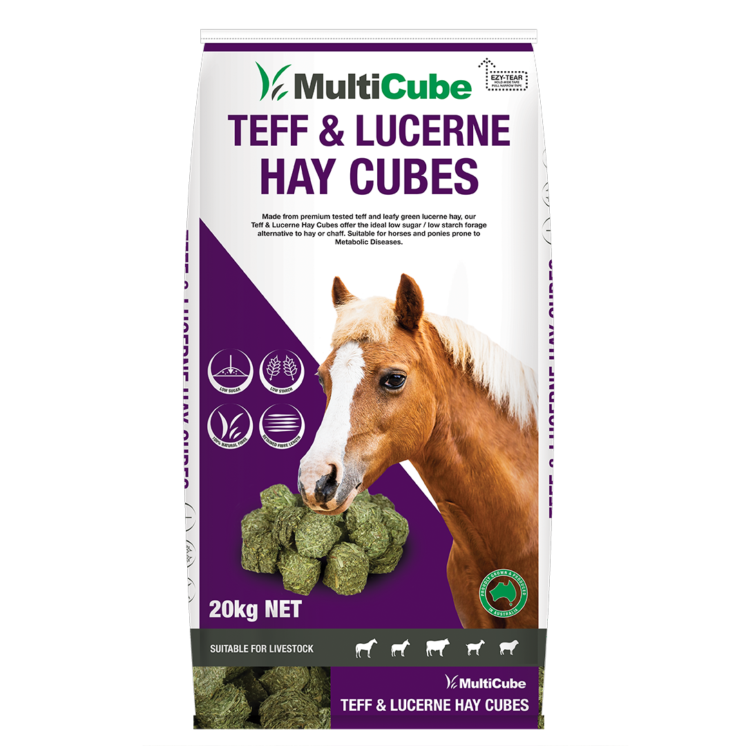 MultiCube Lucerne & Teff Cubes 20kg – Low Sugar High Fibre Horse Feed
