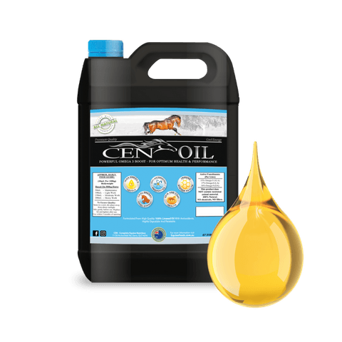 CEN Flaxseed Oil for Horses High Energy Omega 3 Oil Supplement  - 20 litres
