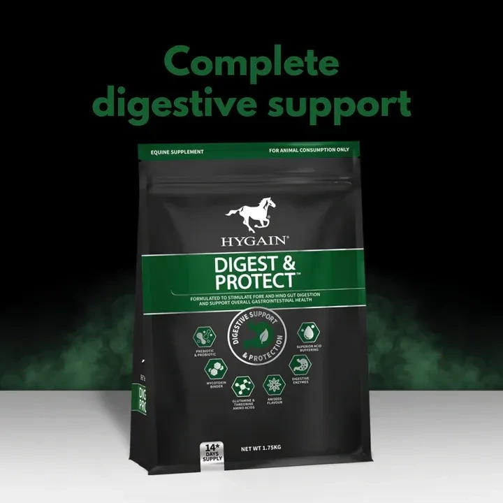 Hygain Digest & Protect for Horses – Gut Health, Ulcer Support & Digestive Supplement - 3.75 kg Hygain Digest & Protect for Horses – Gut Health, Ulcer Support & Digestive Supplement - 3.75 kg