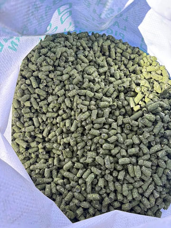 Lucerne Pellets 25 kg Lucerne Pellets 25 kg