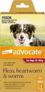 Advocate Dog 10-25 kgs Large  -   1 pack