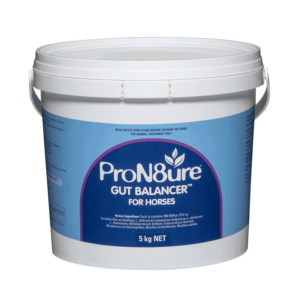 IAH ProN8ure Gut Balancer for Horses - 5 kg