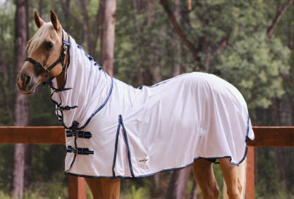 Eureka - Airmesh Combo - 5'6"