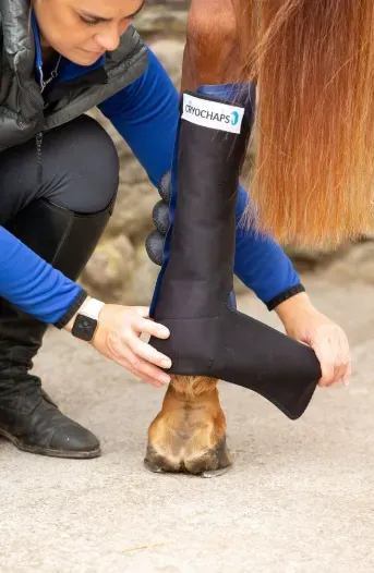 Cryochaps Ice Wrap Boots – HindLegs Large for Horses