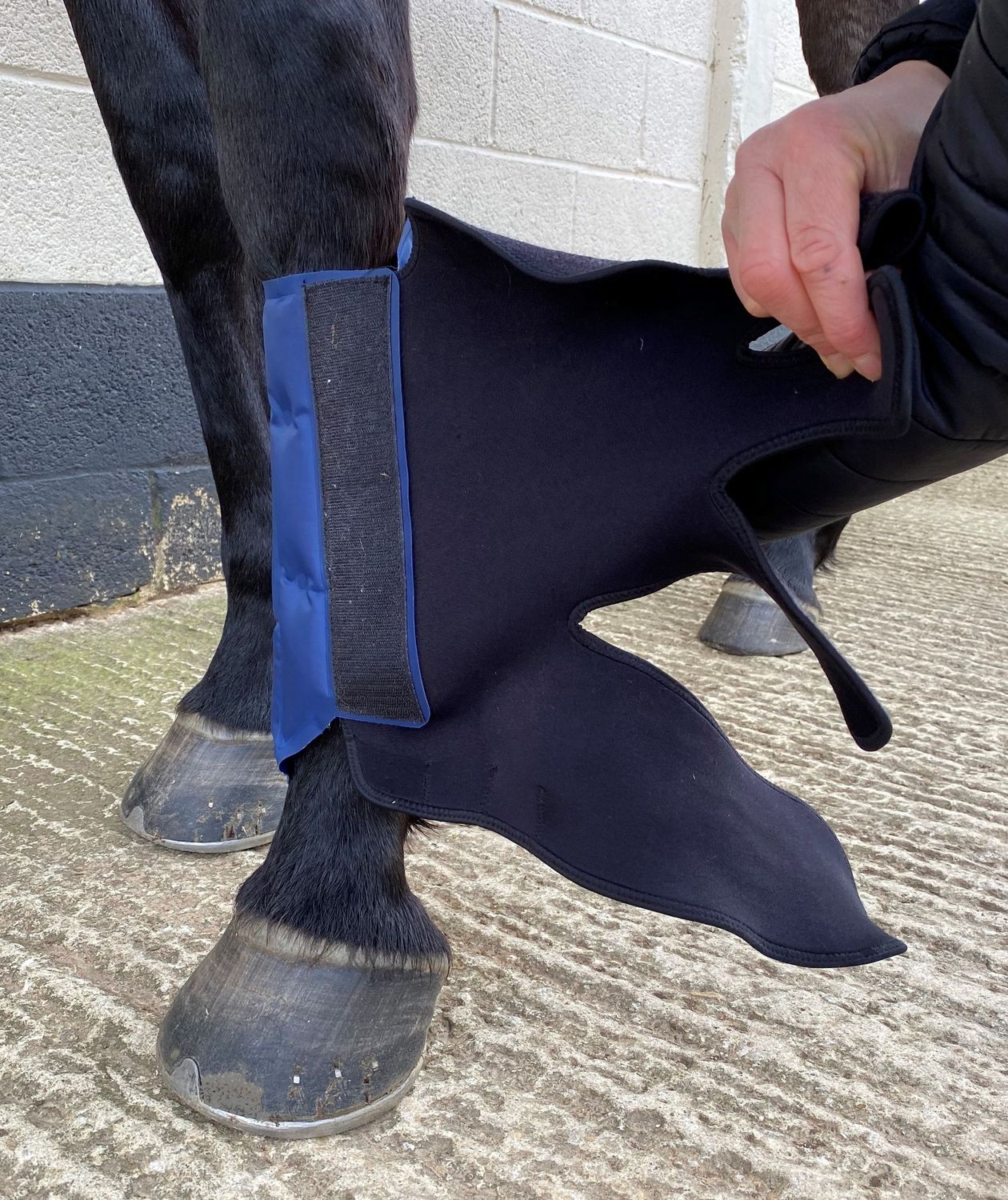 Cryochaps Ice Wrap Boots – Front Legs (Medium) for Horses