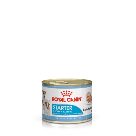 Royal Canin Starter Mousse - 12 x 195 grams Royal Canin Starter Mousse - 12 x 195 grams