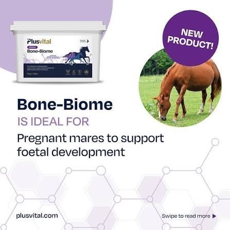 Plusvital Bone-Biome - Advanced Bone Development & Gut Health Supplement for Horses, Foals & Broodmares - 5 kg Plusvital Bone-Biome - Advanced Bone Development & Gut Health Supplement for Horses, Foals & Broodmares - 5 kg