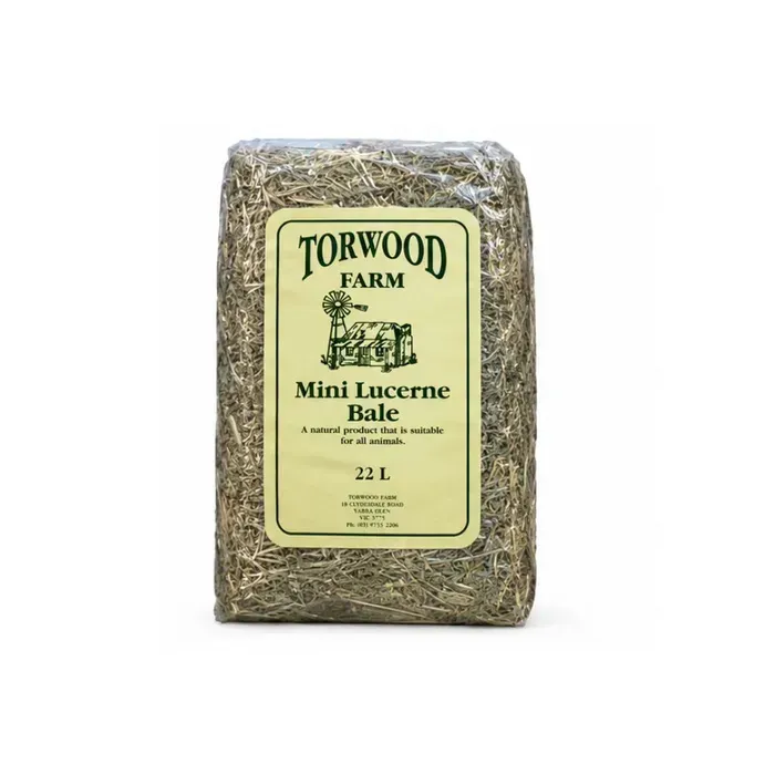 Torwood Farm Mini Lucerne Bale – Premium Lucerne Hay for Rabbits & Guinea Pigs - 22 litres Torwood Farm Mini Lucerne Bale – Premium Lucerne Hay for Rabbits & Guinea Pigs - 22 litres
