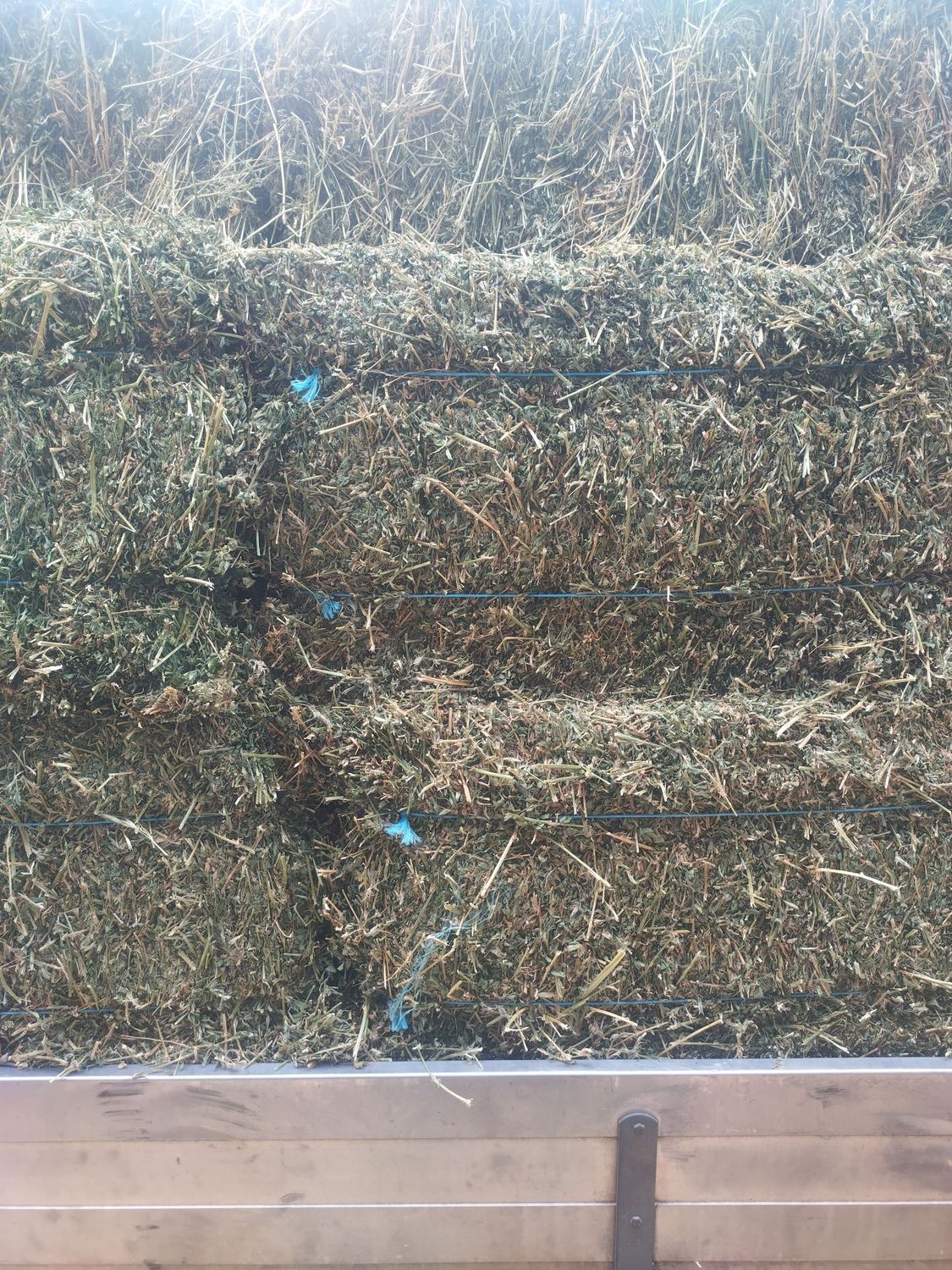 Lucerne Hay - 1st Cut 2026 Lucerne Hay - 1st Cut 2026