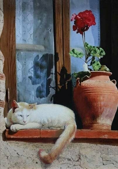 Morning Sun