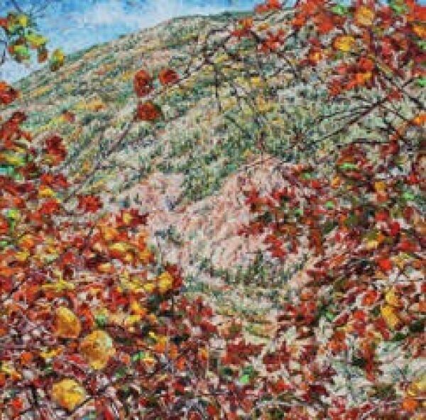 Vista