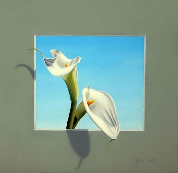 Calla Lily Trompe L'Oeil 2