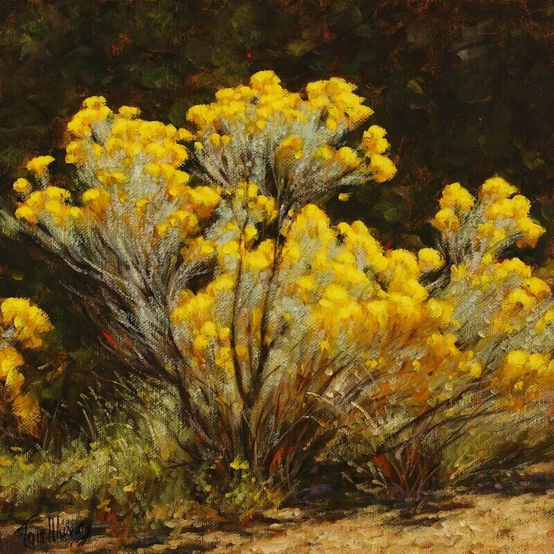 New Mexico Chamisa