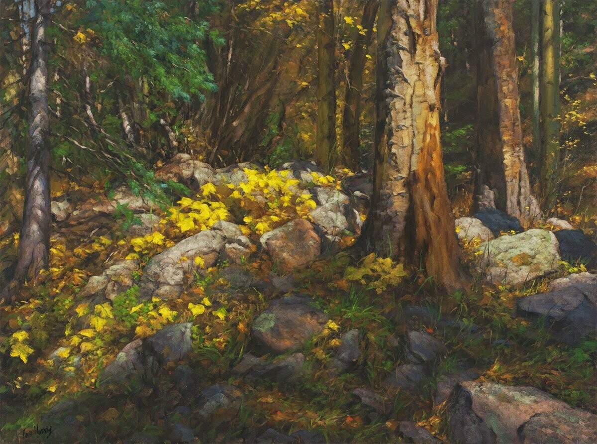 Forest Interlude
