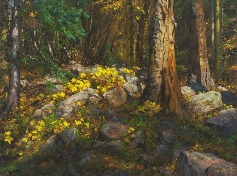 Forest Interlude